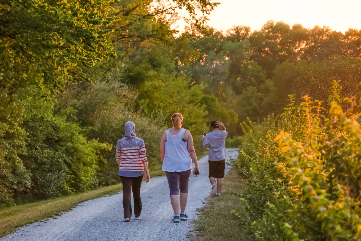 Is It Better to Walk Faster or Longer