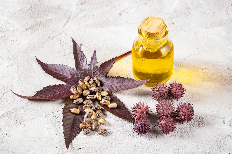 Does castor oil help with cellulite