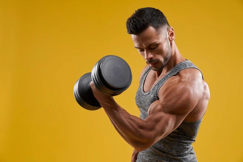 How quickly do you regain lost muscle